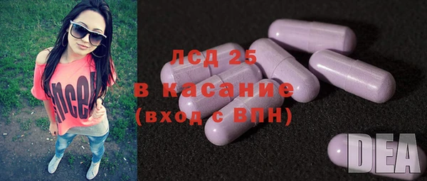 спиды Аркадак