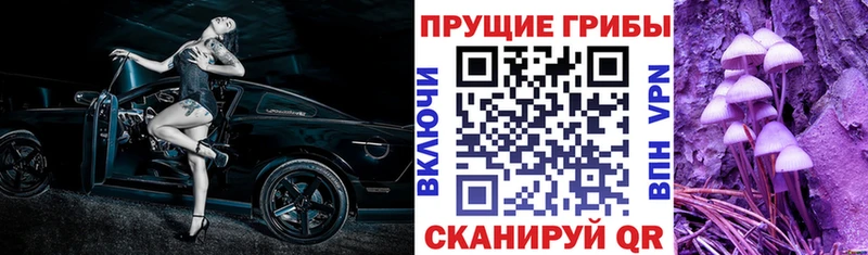 Галлюциногенные грибы Psilocybe mega Елабуга